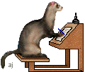 rat